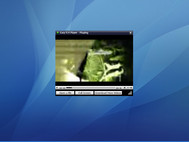 Easy FLV Player screenshot